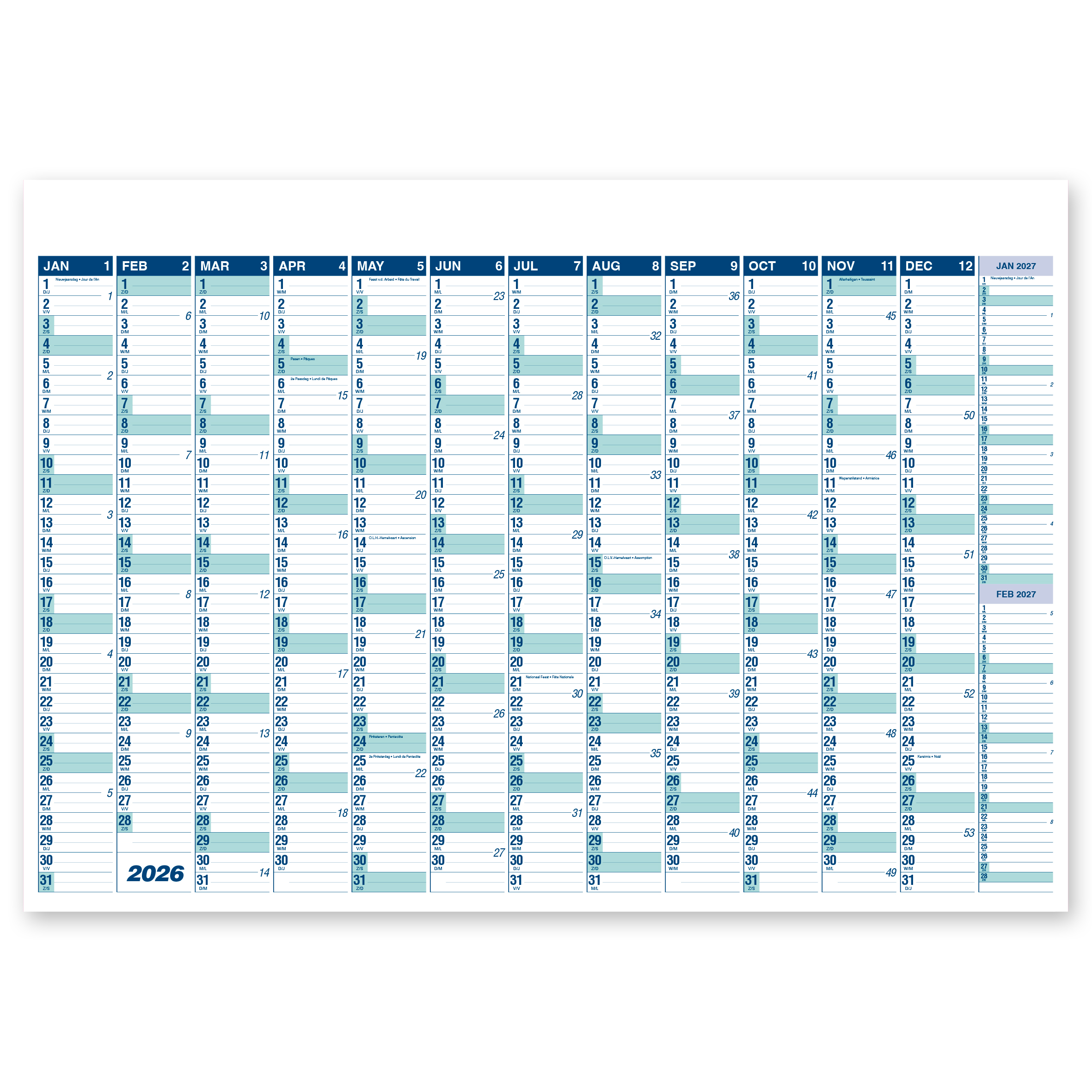 STROBBE MUURPLANNING MAXI