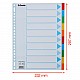 TABBLADEN ESS KARTON A4 10TABS                              