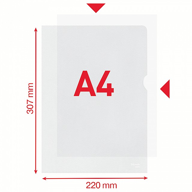 DS100 L-MAP PP A4 TRANSP PLUS