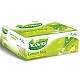 PICKWICK GR TEA CITR 100X2G