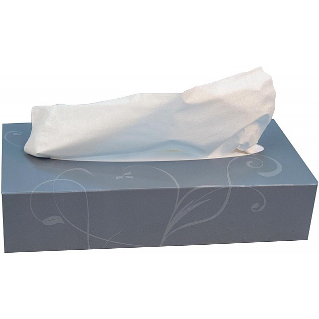 KATRIN PL FACIALTISSUE 2L DS10