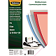 FELLOWES OMSLAG 300MI TRA 100X