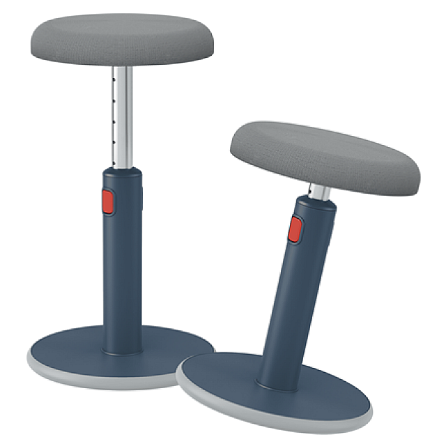 Leitz Ergo Actieve Zitbal met Veiligheidsfunctie, Ergonomisch