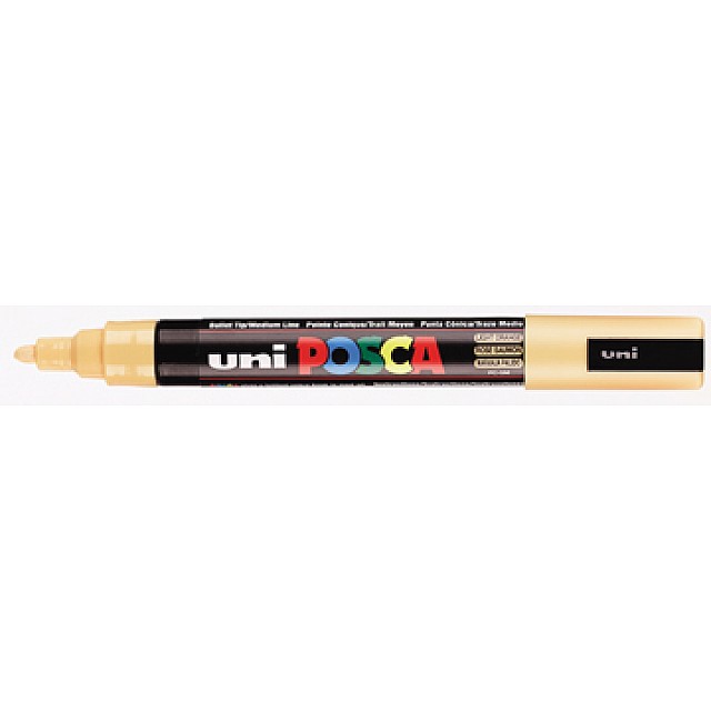 POSCA 2,5 ZALM