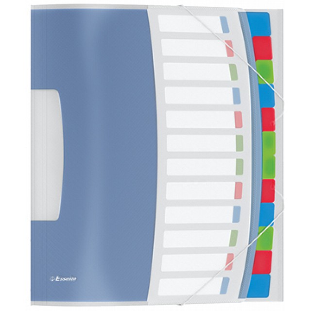 ESSELTE SORTEERMAP VIV 12TAB MULTI