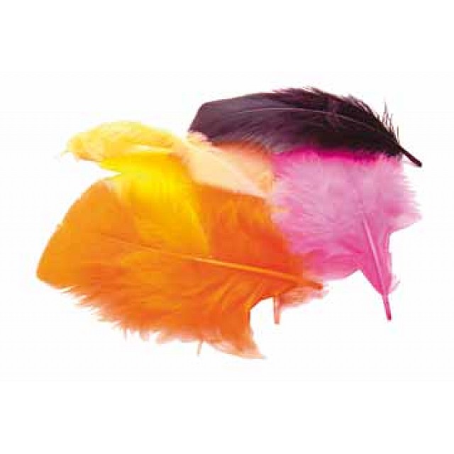 120 PLUIMEN 4 CM ASSORTI