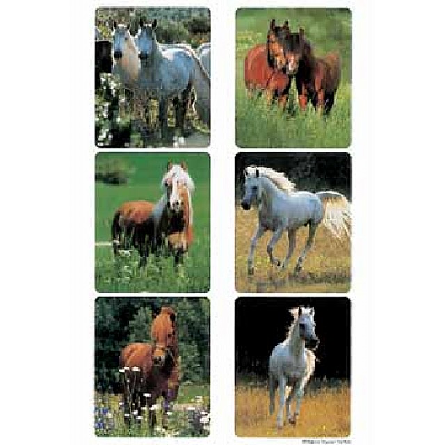 HERMA ETIK PAARDEN 3V       BL