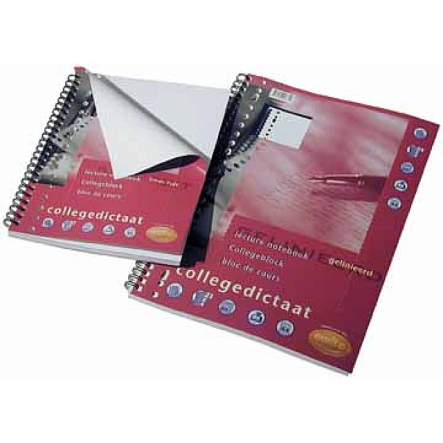 COLLEGEDICTAAT 23R 80 VEL LIJN