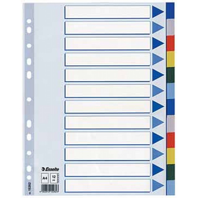 ESSELTE TABBLAD PP KLEUR 12TABS