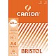BL 20V BRISTOL A4 WIT 224G