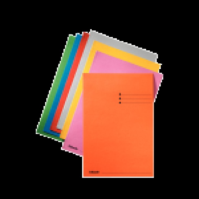 ESSELTE INLEGMAP 180GR FOLIO GROEN