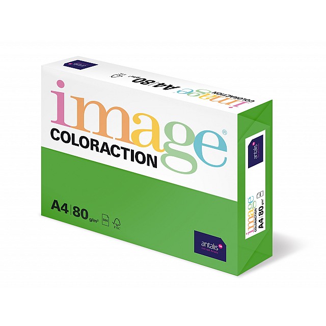 COLORACTION A4 80G DUBLIN 500V