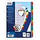 TABBL. 20T.A-Z PP A4 MAXI KLEU