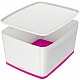 MYBOX GROOT DEKSEL RZ