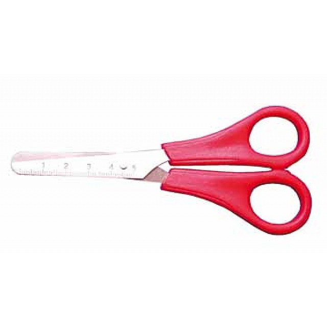 SCHAAR INOX ROND RECHTS 13,5CM