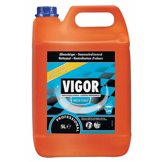 VIGOR ALLESREINIGER 5L