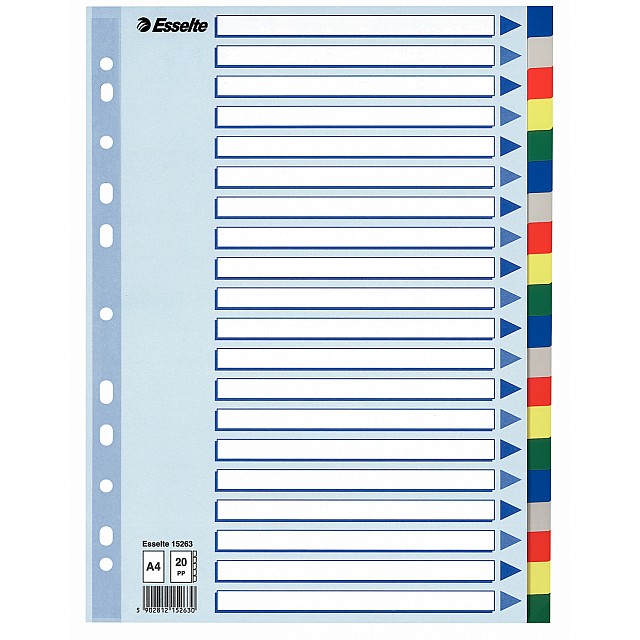 ESSELTE TABBLAD PP KLEUR 20 TABS