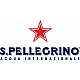 SAN PELLEGRINO LIMONATA BLIK 33CL P6