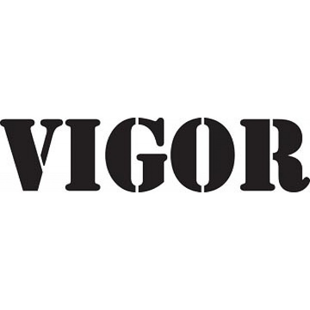 VIGOR ALLESREINIGER ORIGINAL 5L