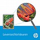 HP Colour LaserJet C4196A transfer kit zwart en kleur standa