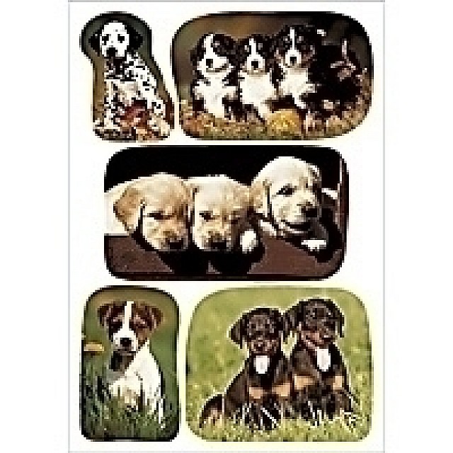 HERMA ETIK PUPPIES 3V       BL
