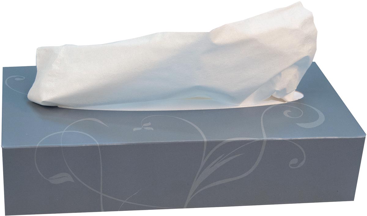 KATRIN PLUS FACIALTISSUE 2L DS10