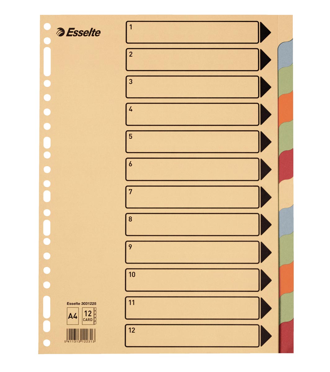 ESSELTE VERDEELK KART 300G 12TABS