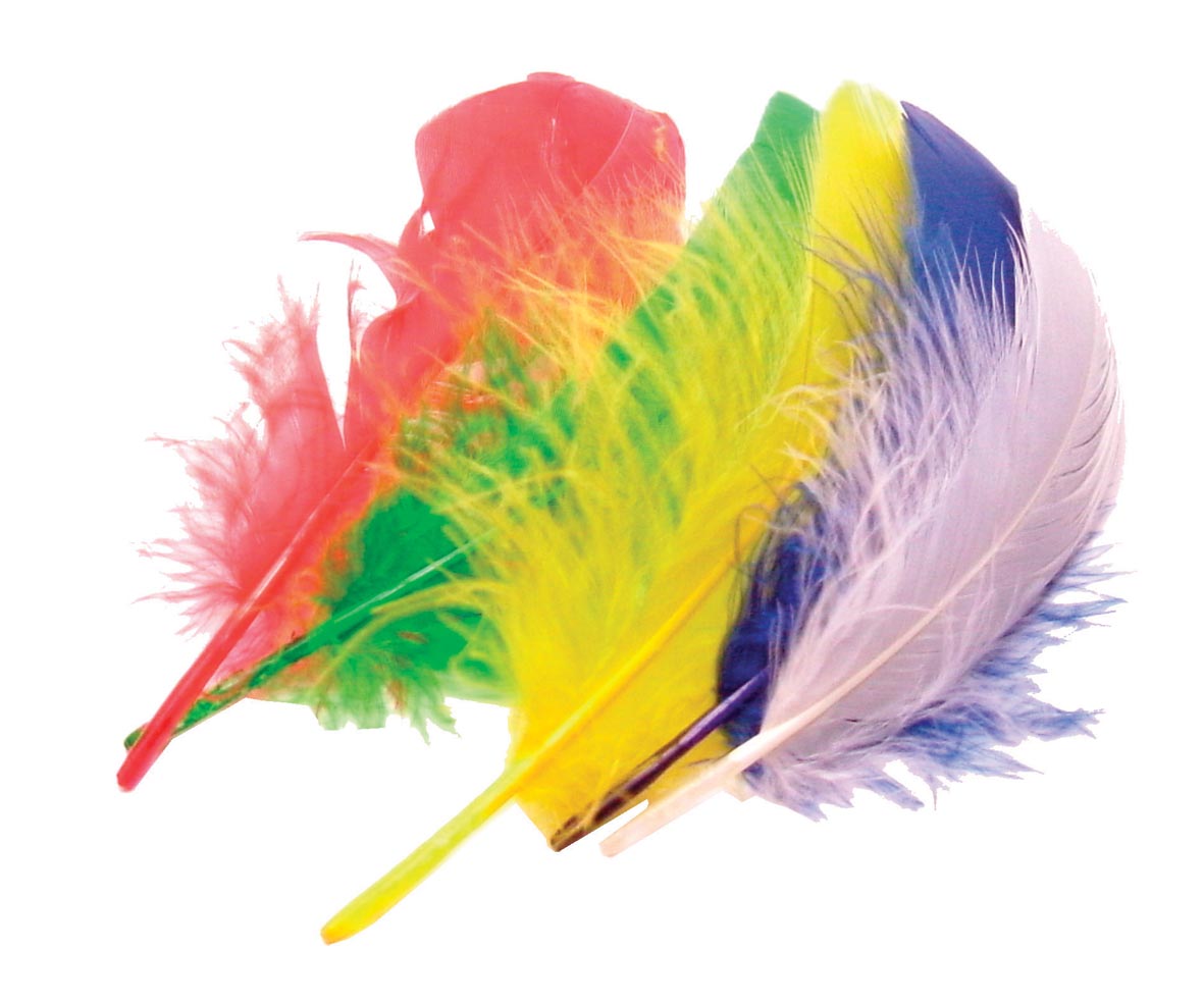 50 PLUIMEN 15 CM ASSORTI