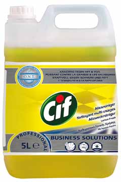 CIF PROF. ALLESREIN CITROEN 5L