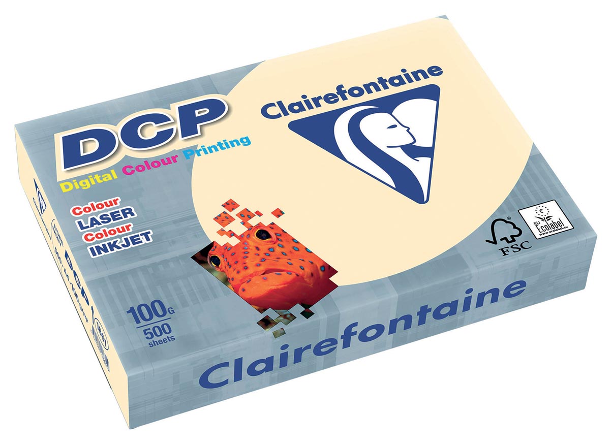 DCP PAPIER IVOOR A4 100G 500V