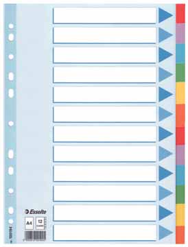 ESSELTE TABBLAD KARTON 160G 12TABS