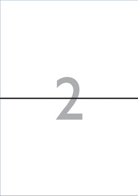 DECADRY ETIKET 210x148.5mm 2/vel 100VEL
