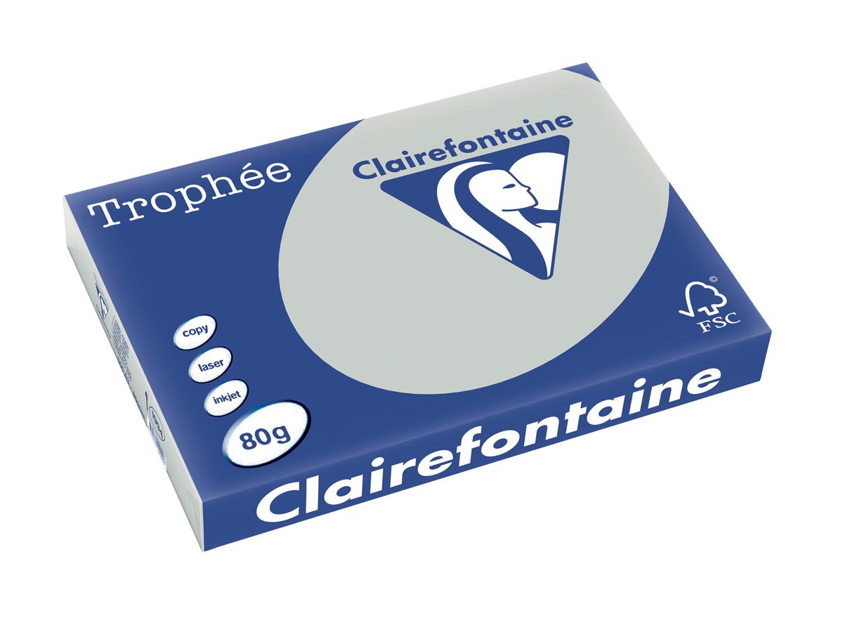 TROPHEE A3 80G LICHT GRIJS 500V 1994C