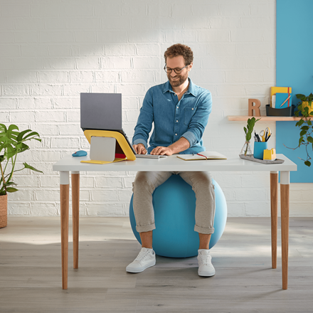LEITZ COSY ERGO ZITBAL SEREEN BLAUW