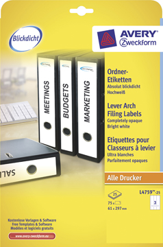 P75 61X297 ORDNERRUGETIK