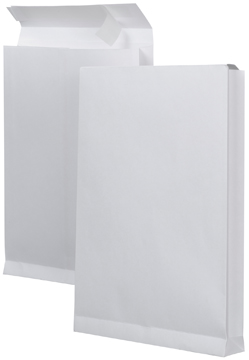 ENV WIT 229X324X38 STR DS125