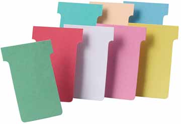 P.100 T-FICHEN IND.4 GROEN VAL