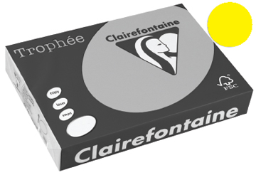 TROPHEE A4 210G GEEL 250V 2220C