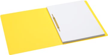 SECOLOR HECHTMAP A4 PK10 GL
