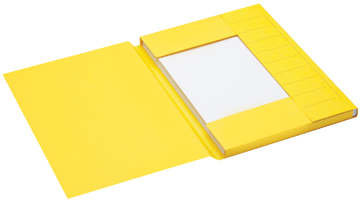 SECOLOR DOSSIERMP A4 PK25 GL                                