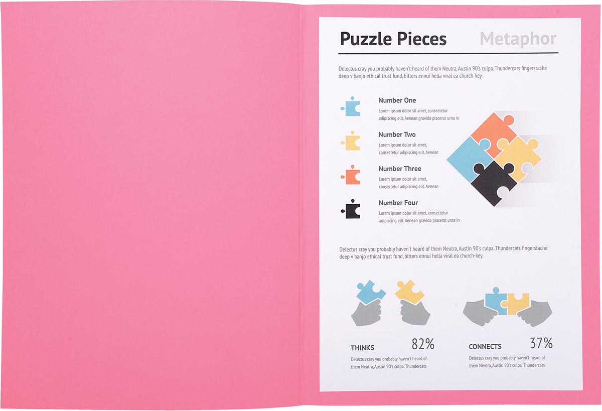 DOSSIERMAPPEN JURA ROZE PK 100