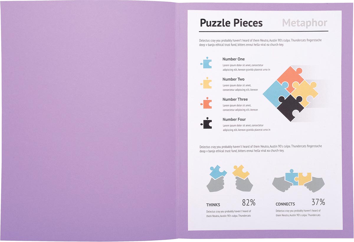 DOSSIERMAPPEN JURA LILA PK 100