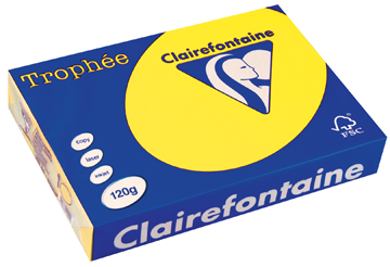 Clairefontaine intensief 120g/m² zonnegeel 1292 210 x 297 mm