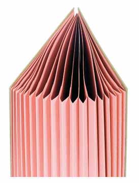 VLOEIBOEK FOREVER 20TABS KRAFT