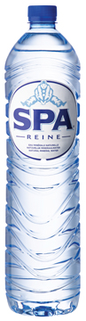 SPA REINE 1,5L PAK 6 FLESSEN