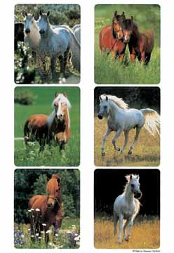 HERMA ETIK PAARDEN 3V       BL