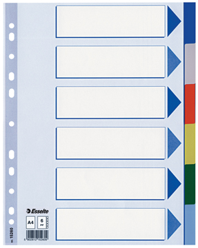 ESSELTE TABBLAD PP KLEUR 6 TABS