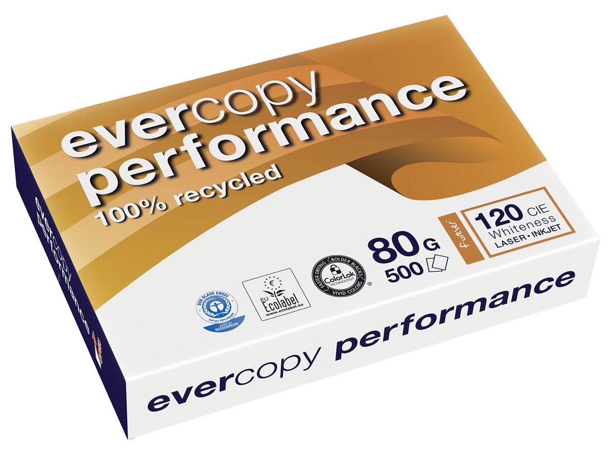 EVERCOPY PERFORM A4 80G 500V