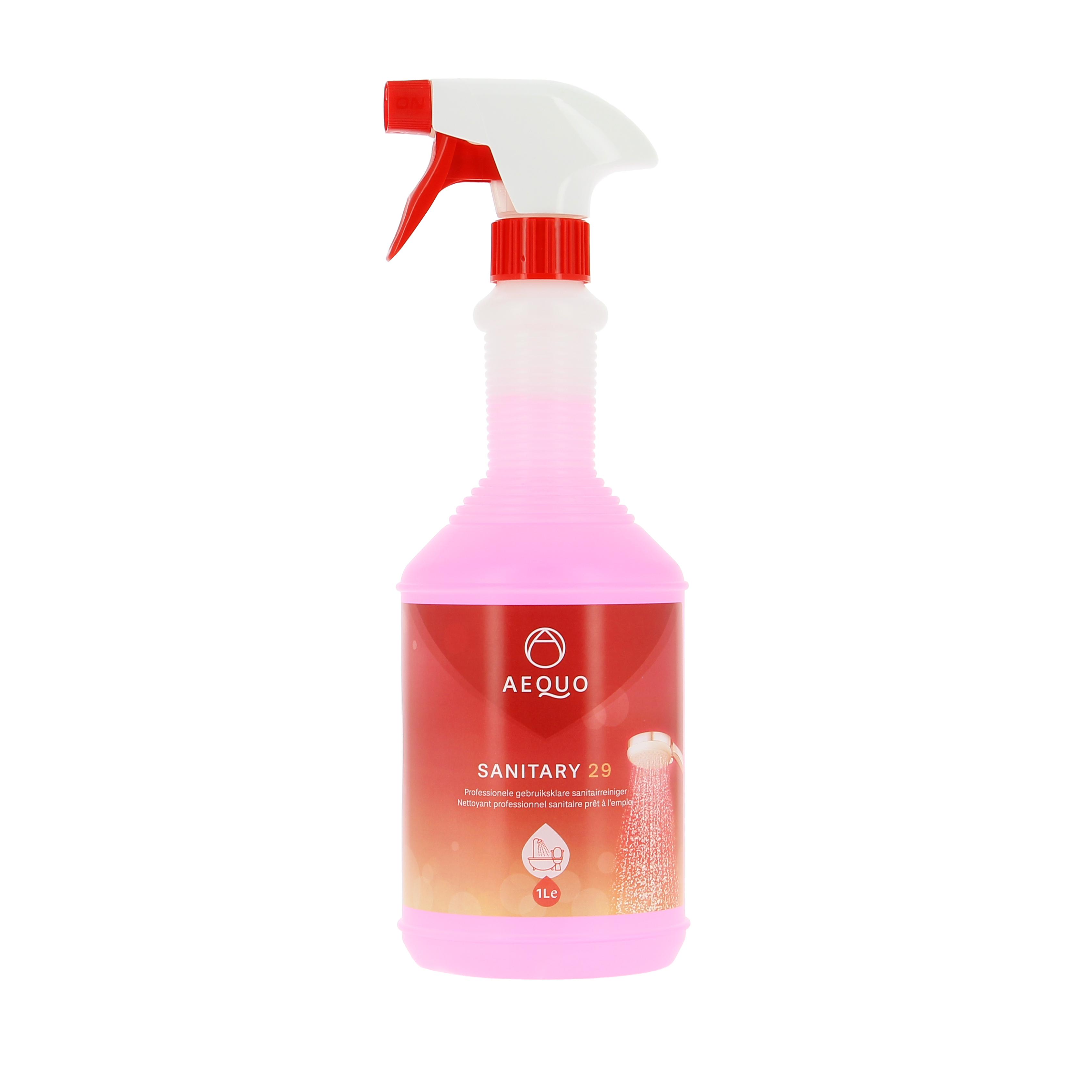 AEQUO SANITARY 29 SPRAY 1L