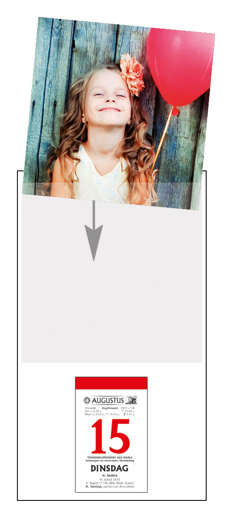 RUGSCHILD DRUIVELAAR MET INSTEEKHOES FOTO